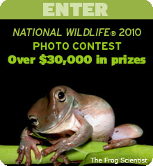 Enter the 2010 National Wildlife Photo Contest